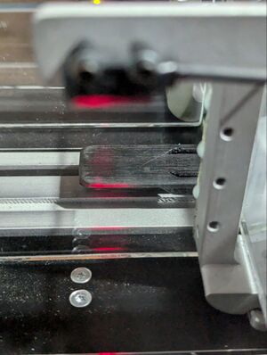 Lengua del LAM vista lateral